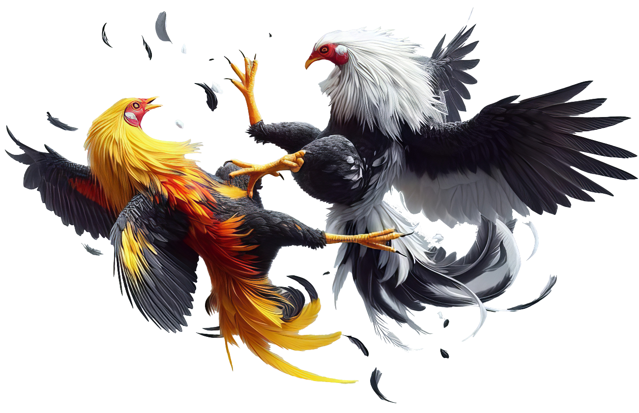 home-cockfight.459d6a42