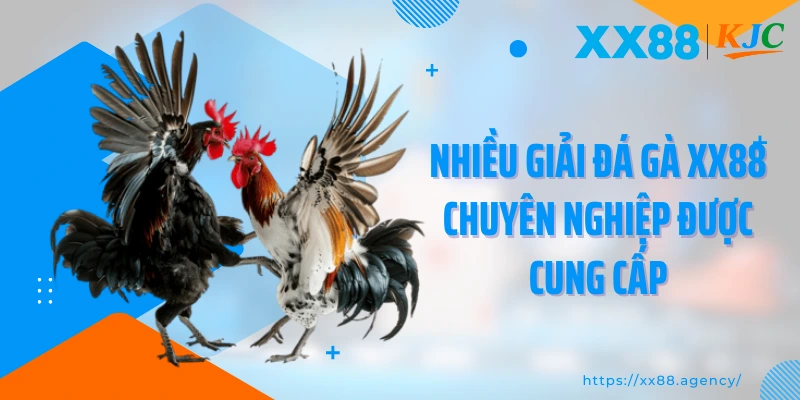 Nhiều giải đá gà XX88 chuyên nghiệp được cung cấp